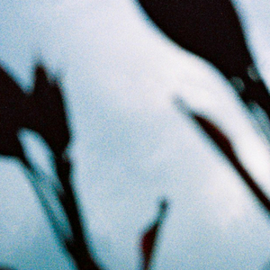 伊人亚洲综合网
