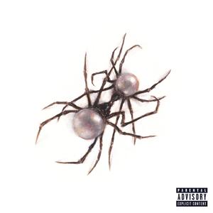 伊人亚洲综合网
