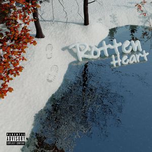 伊人亚洲综合网
