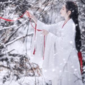 伊人亚洲综合网
